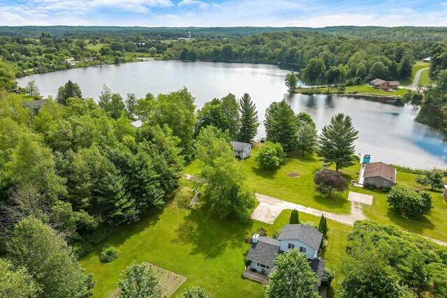 16966 Maple Dr, Leroy, MI 49655