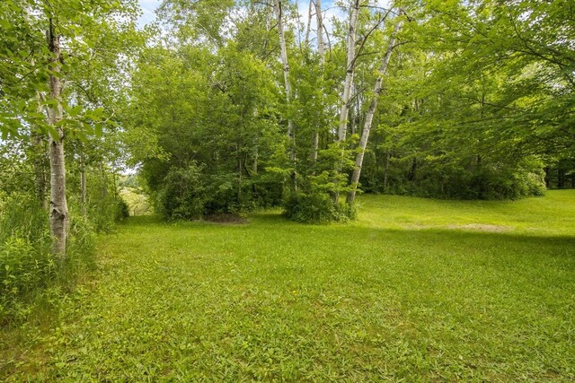 16966 Maple Dr, Leroy, MI 49655