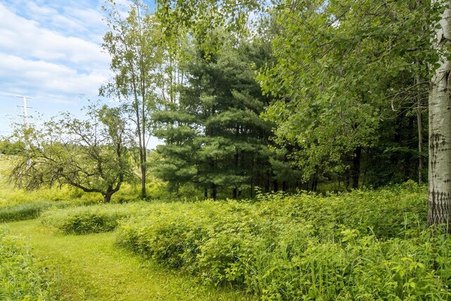 16966 Maple Dr, Leroy, MI 49655