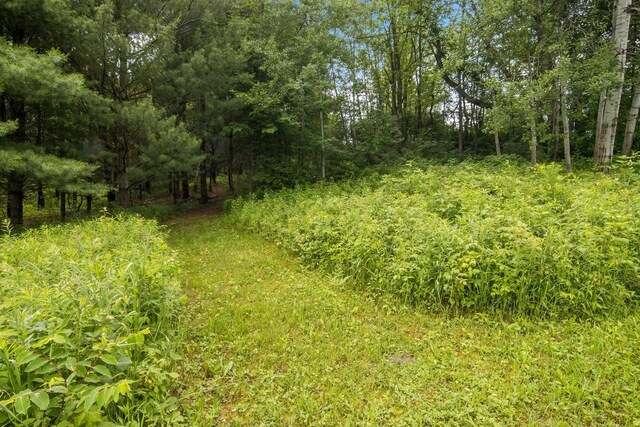 16966 Maple Dr, Leroy, MI 49655