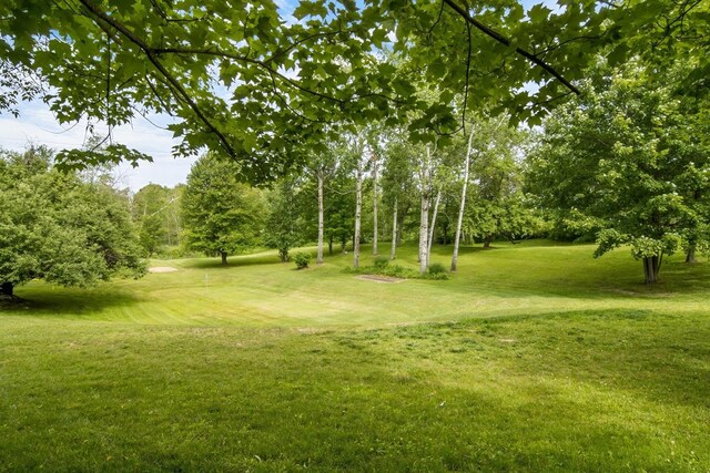 16966 Maple Dr, Leroy, MI 49655