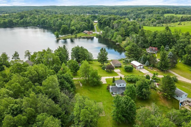 16966 Maple Dr, Leroy, MI 49655