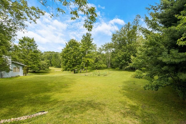 16966 Maple Dr, Leroy, MI 49655