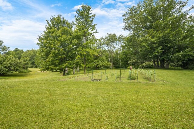 16966 Maple Dr, Leroy, MI 49655
