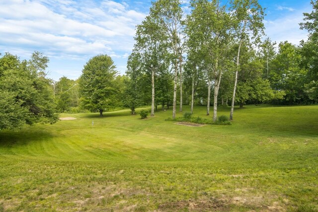 16966 Maple Dr, Leroy, MI 49655
