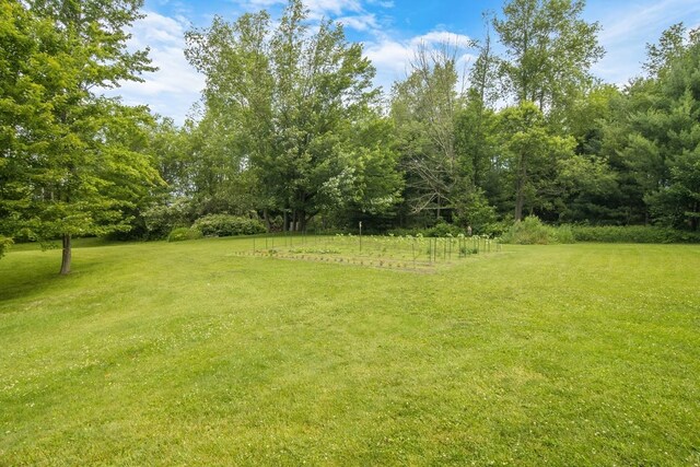 16966 Maple Dr, Leroy, MI 49655