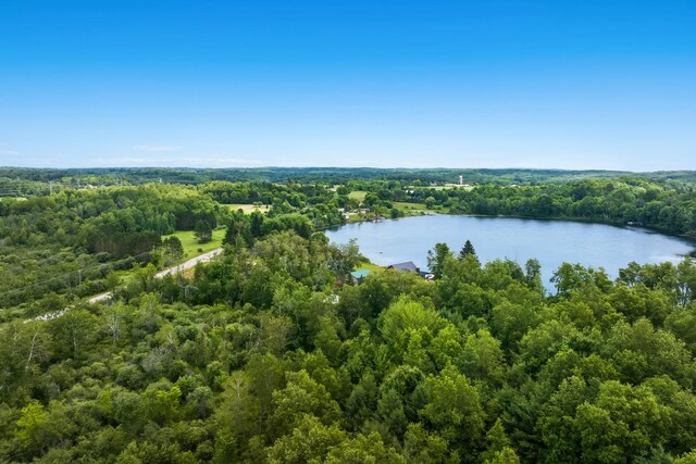 16966 Maple Dr, Leroy, MI 49655