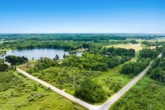16966 Maple Dr, Leroy, MI 49655