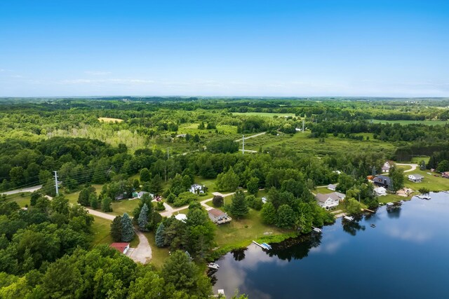 16966 Maple Dr, Leroy, MI 49655