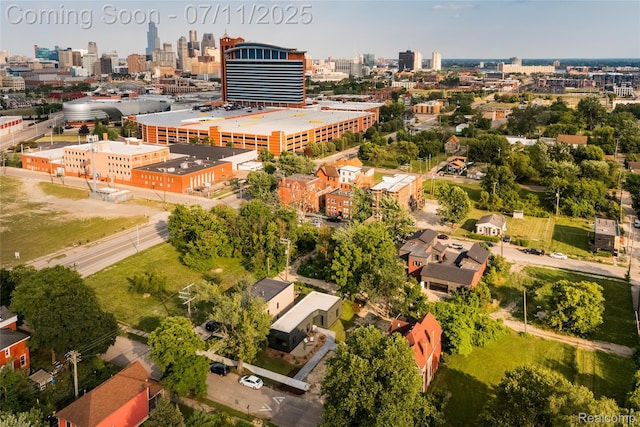 1539 Sycamore St, Detroit, MI 48208 - aerial view of skyline