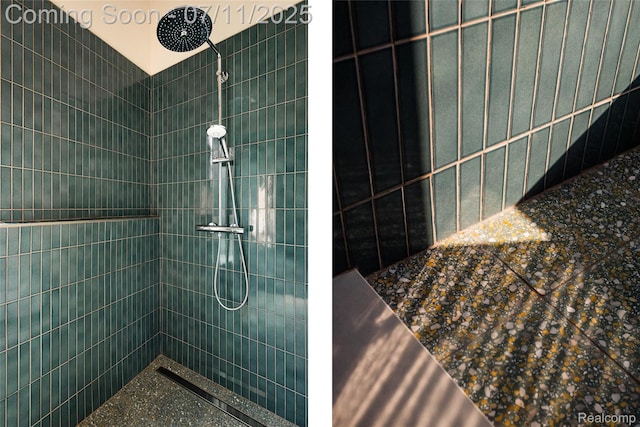 1539 Sycamore St, Detroit, MI 48208 - bathroom featuring a tile shower