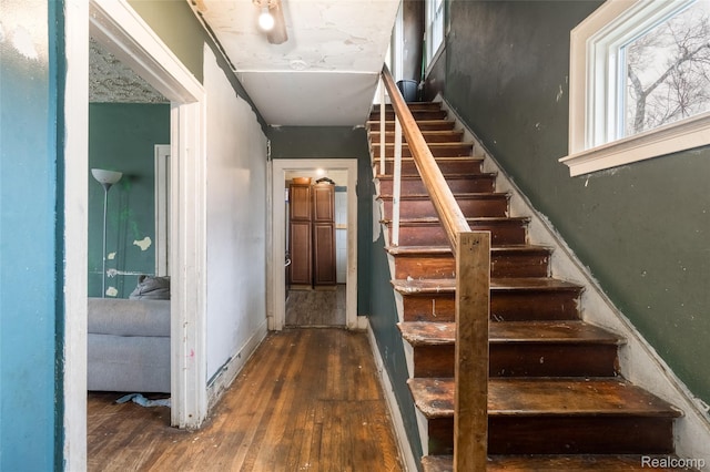 15817 Monica St, Detroit, MI 48238 - photo 5