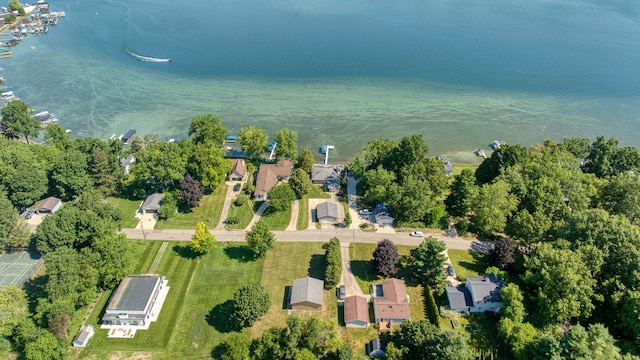 1756 Eagle Point Rd, Clarklake, MI 49234 - photo 92
