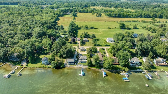 1756 Eagle Point Rd, Clarklake, MI 49234 - photo 93