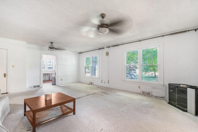 4471 Highland Ave, Benton Harbor, MI 49022 - unfurnished living room with a ceiling fan, a textured ceiling, and carpet