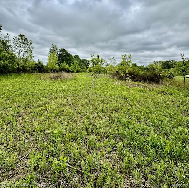 00 Rider Rd, Imlay City, MI 48444