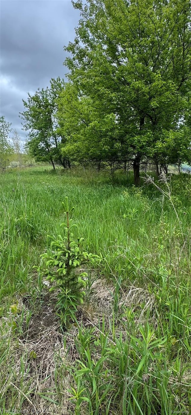 00 Rider Rd, Imlay City, MI 48444
