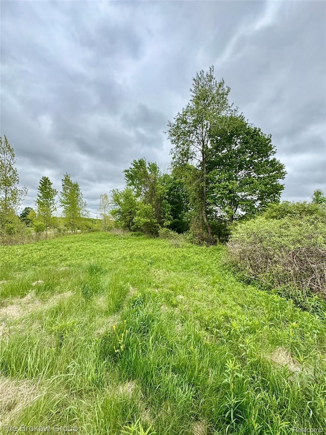 00 Rider Rd, Imlay City, MI 48444