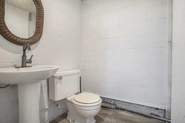 14083 M37, Battle Creek, MI 49017 - bathroom with wood finished floors and concrete block wall