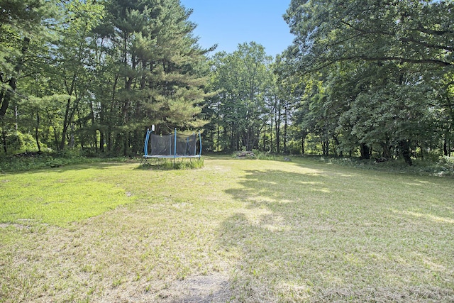 14083 M37, Battle Creek, MI 49017 - view of green lawn featuring a trampoline