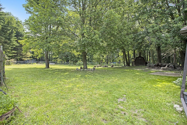 14083 M37, Battle Creek, MI 49017 - view of yard