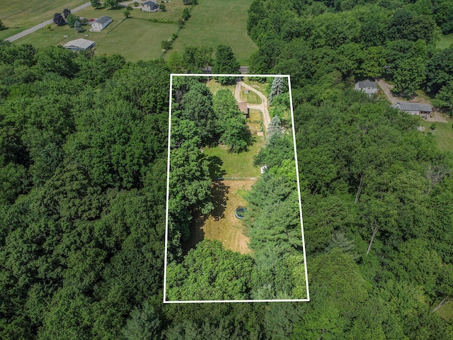 14083 M37, Battle Creek, MI 49017 - aerial view of property's location with property parcel outlined and a heavily wooded area