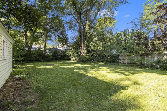 924 Royce Ave, Kalamazoo, MI 49001 - view of yard