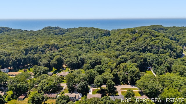 13351 Lakeshore Ave, Grand Haven, MI 49417 - photo 74
