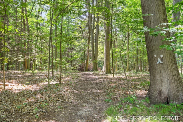 13351 Lakeshore Ave, Grand Haven, MI 49417 - photo 71