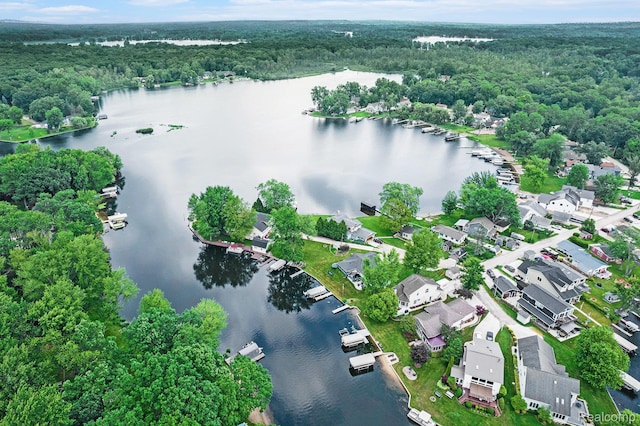 4106 Shoreview Ln, Whitmore Lake, MI 48189 - photo 37