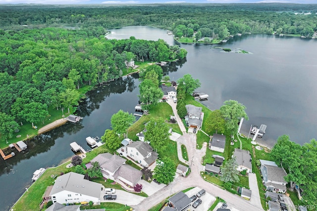 4106 Shoreview Ln, Whitmore Lake, MI 48189 - photo 38