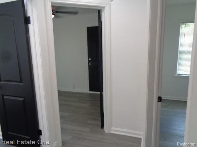 18259 Pinehurst St, Detroit, MI 48221 - hall with baseboards and wood finished floors