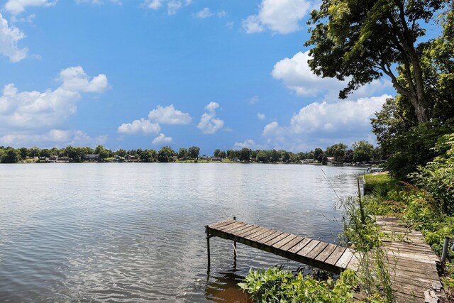 1332 Cherokee Dr, Union City, MI 49094 - photo 23