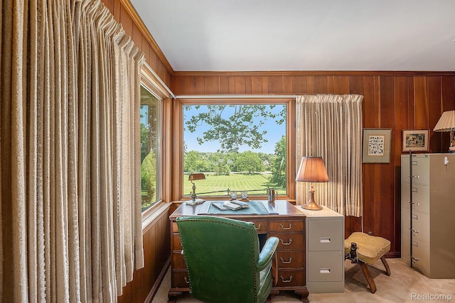 6400 N Rochester Rd, Rochester Hills, MI 48306 - home office with wooden walls and light carpet