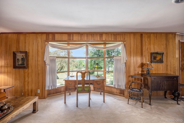 6400 N Rochester Rd, Rochester Hills, MI 48306 - office featuring light carpet and wood walls