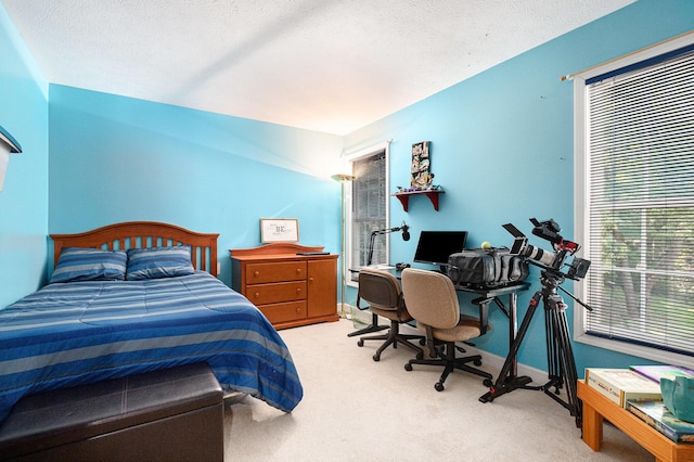 6372 Oak Ct, Berrien Center, MI 49102 - photo 22