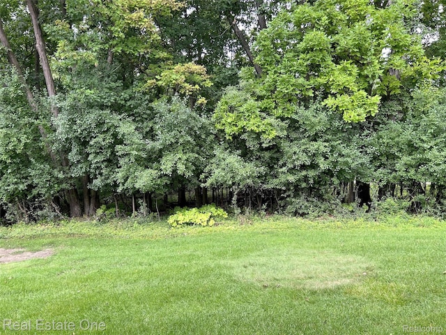 5537 Walnut Cir W, West Bloomfield, MI 48322 - photo 32