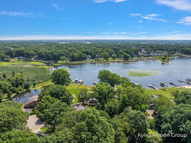 46 Counts Cove Ct, Holland, MI 49424 - aerial view of property's location featuring a nearby body of water
