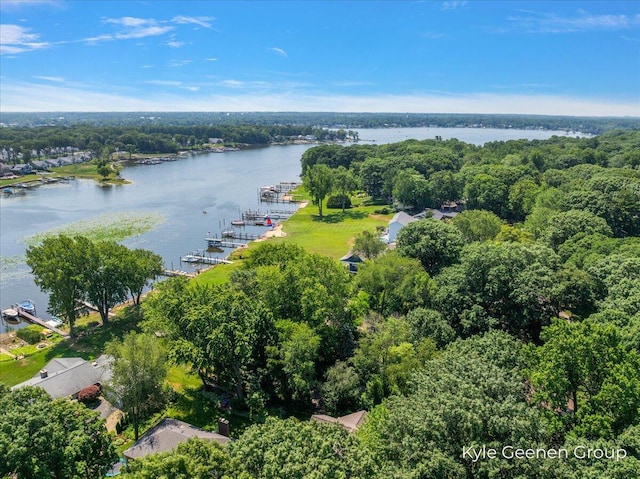 46 Counts Cove Ct, Holland, MI 49424 - drone / aerial view of a large body of water and a heavily wooded area