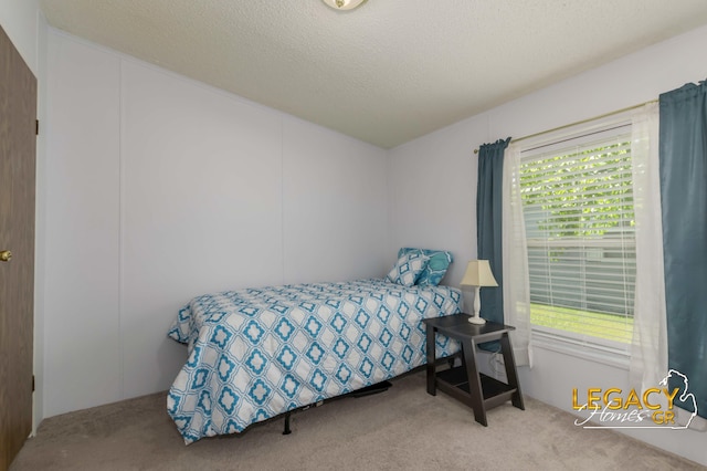 1163 Maple Leaf Ln NW, Walker, MI 49534 - carpeted bedroom with a textured ceiling