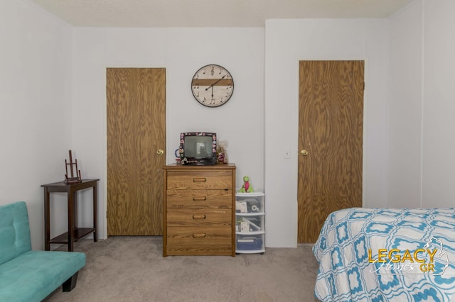 1163 Maple Leaf Ln NW, Walker, MI 49534 - bedroom with carpet flooring