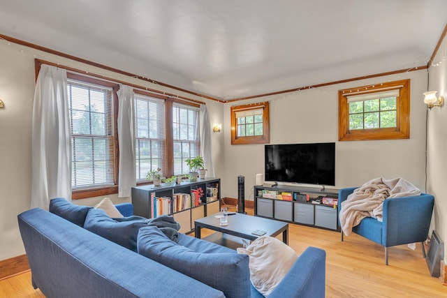 514 Pauline Blvd, Ann Arbor, MI 48103 - photo 6