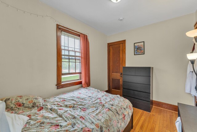 514 Pauline Blvd, Ann Arbor, MI 48103 - photo 20