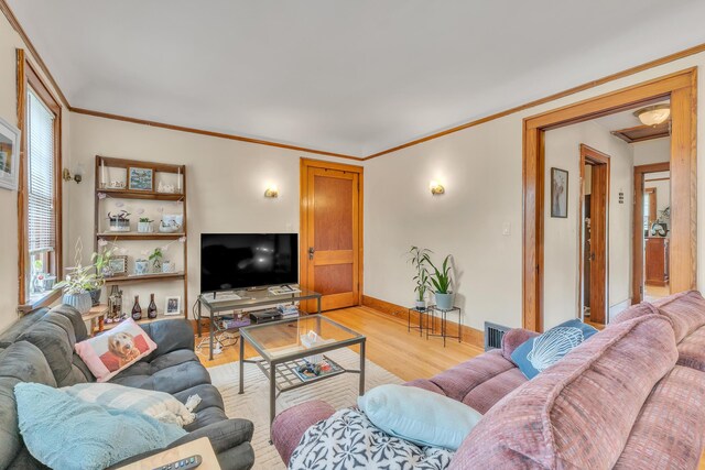514 Pauline Blvd, Ann Arbor, MI 48103 - photo 25