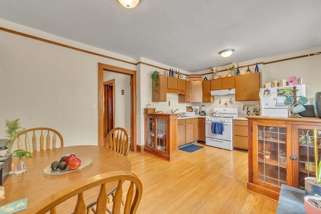 514 Pauline Blvd, Ann Arbor, MI 48103 - photo 34