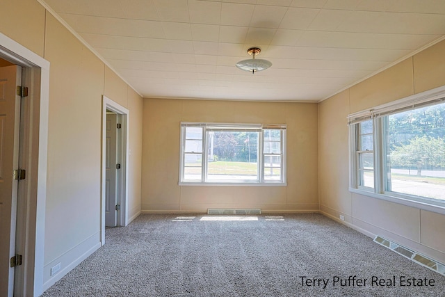 1966 Roilson St, Muskegon, MI 49441 - spare room with ornamental molding and carpet