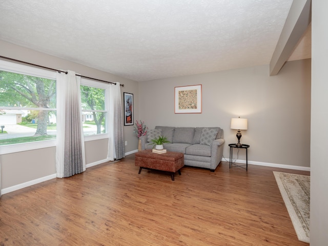 1627 Whitby Ave, Portage, MI 49024 - living room featuring a textured ceiling and light wood finished floors