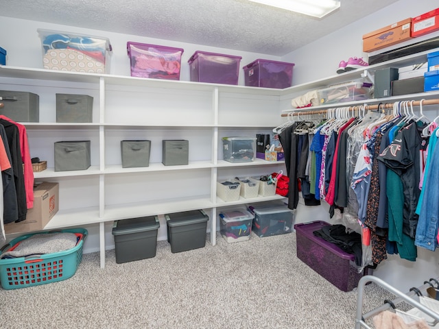 1627 Whitby Ave, Portage, MI 49024 - spacious closet featuring carpet