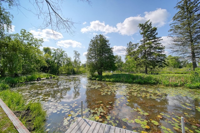 8020 Greenes Dr, Jackson, MI 49201 - water view