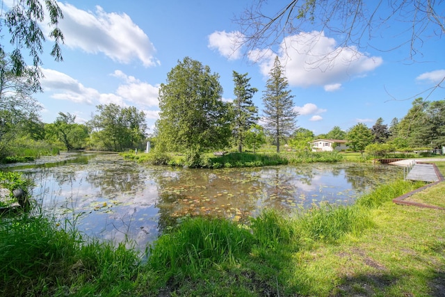 8020 Greenes Dr, Jackson, MI 49201 - water view